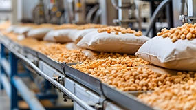 食品加工工場派遣